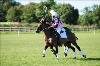 UKPA NC SAT_2164